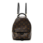Monogram Palm Springs Backpack Mini