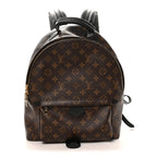 Monogram Palm Springs Backpack MM