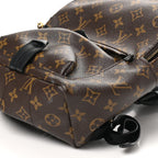 Monogram Palm Springs Backpack PM