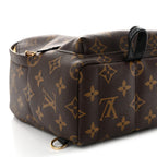 Monogram Palm Springs Backpack Mini