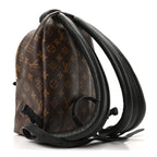 Reverse Monogram Palm Springs Backpack PM