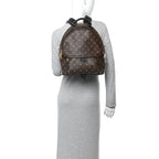 Monogram Palm Springs Backpack MM