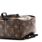 Monogram Palm Springs Backpack Mini