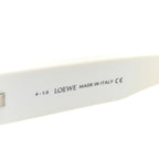 Acetate Sunglasses LW40033I White