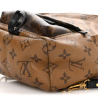 Reverse Monogram Palm Springs Backpack Mini