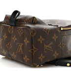 Monogram Palm Springs Backpack Mini