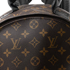 Monogram Palm Springs Backpack MM