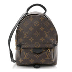 Monogram Palm Springs Backpack Mini