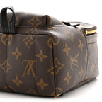 Monogram Palm Springs Backpack Mini