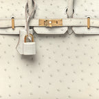 Ostrich Birkin Sellier 25 Gris Perle