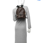 Monogram Palm Springs Backpack PM