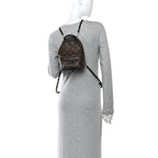 Monogram Palm Springs Backpack Mini