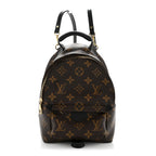 Monogram Palm Springs Backpack Mini