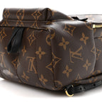 Monogram Palm Springs Backpack Mini