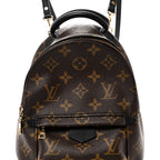 Monogram Palm Springs Backpack Mini