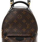 Monogram Palm Springs Backpack Mini