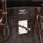 Shiny Porosus Crocodile Birkin 35 Havane