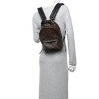 Monogram Palm Springs Backpack PM