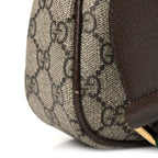 GG Supreme Monogram Textured Dollar Calfskin Web Small Ophidia GG Handbag Beige Ebony New Acero