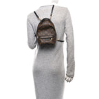 Monogram Palm Springs Backpack Mini