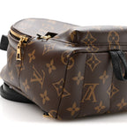 Monogram Palm Springs Backpack Mini