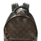 Monogram Palm Springs Backpack PM