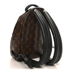 Monogram Palm Springs Backpack PM