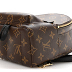Monogram Palm Springs Backpack Mini