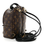 Monogram Palm Springs Backpack Mini
