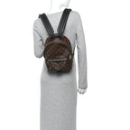 Monogram Palm Springs Backpack PM
