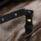 Monogram Palm Springs Backpack MM