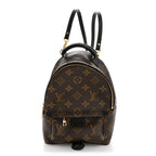 Monogram Palm Springs Backpack Mini