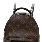 Monogram Palm Springs Backpack Mini