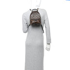 Monogram Palm Springs Backpack Mini