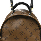 Reverse Monogram Palm Springs Backpack Mini