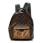 Reverse Monogram Palm Springs Backpack PM