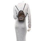 Monogram Palm Springs Backpack Mini
