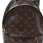 Monogram Palm Springs Backpack PM