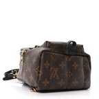 Monogram Palm Springs Backpack Mini