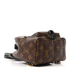 Monogram Palm Springs Backpack Mini