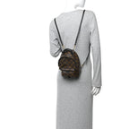 Monogram Palm Springs Backpack Mini