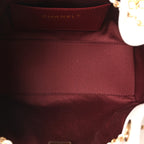 Caviar Quilted Mini Chanel 25 Handbag White