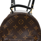 Monogram Palm Springs Backpack Mini