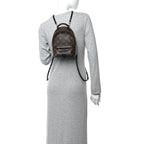 Monogram Palm Springs Backpack Mini