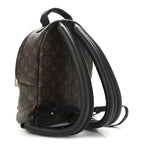 Monogram Palm Springs Backpack PM