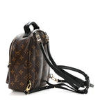 Monogram Palm Springs Backpack Mini