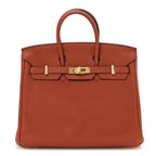 Togo Birkin 25 Terre Battue
