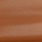 Lambskin Quilted Chanel 19 Wallet On Chain WOC Brown
