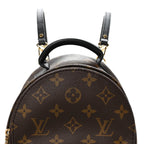 Monogram Palm Springs Backpack Mini