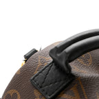 Monogram Palm Springs Backpack Mini